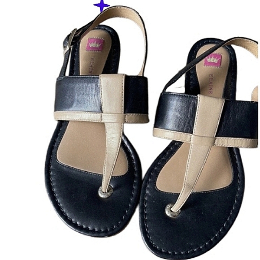 ELAINE TURNER Colorblock Thong Sandals EUC